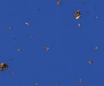 Planetario - 1995	Bronzo e pigmento su tavola cm.  h 212 x 348 x 10