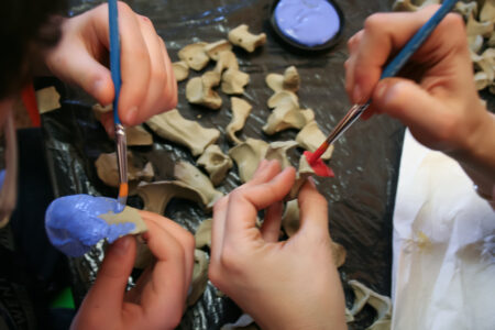 18 I Semi delle Mani 18