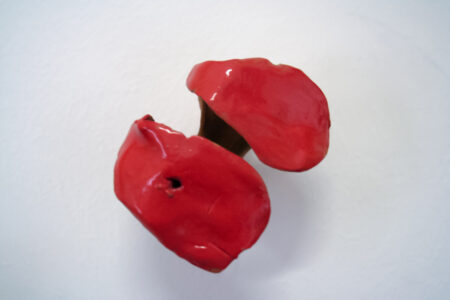 25 I Semi delle Mani 25