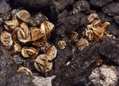 Installazione Meteore - 1990 Bronzo e carbone cm. 8 a 33 Ø