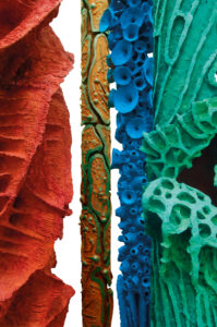 Pilastri del Cielo (particolare) - 2001-2011 Cartapesta e pigmenti cm. h 350 Ø 7 a 60 Pilastri del Cielo (particolare) - 2001-2011 Cartapesta e pigmenti cm. h 350 Ø 7 a 60