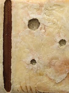 Espressione cera - 2023 Cera, oro zecchino 45x45x6 cm Espressione cera - 2023 Cera, oro zecchino 45x45x6 cm